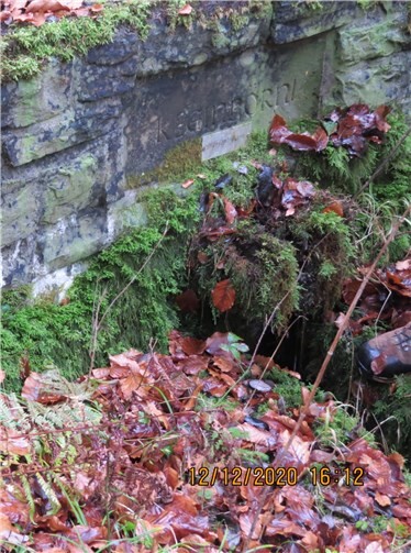 Die Quelle des Kleinbornsweihers.Quelle:CDU-Ratsfraktion Koblenz