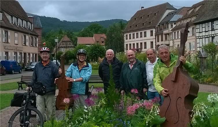 Die Radler des Vereins plus-minus 60aktiv während ihrer Tour durch die Südpfalz.privat