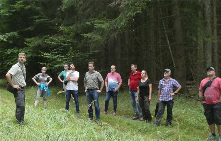 Die Ratsmitglieder informierten sich vor Ort. Stefan Braun gab wertvolle Hinweise.