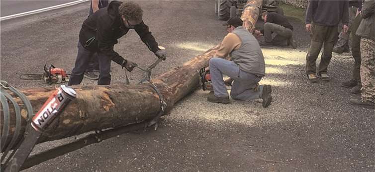 Die Recher Junggesellen beim Zersägen des Maibaums. privat