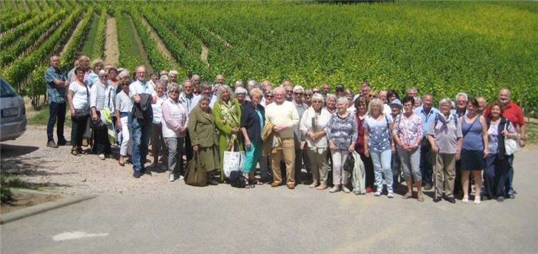 Die Reisegruppe der VdK Treis-Karden während ihres Tagesausfluges in den Weinbergen.privat