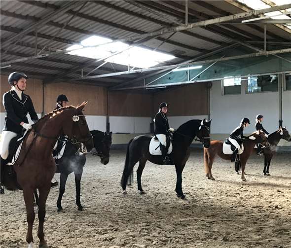 Die Reitschüler belegten gute Plätze. Privat
