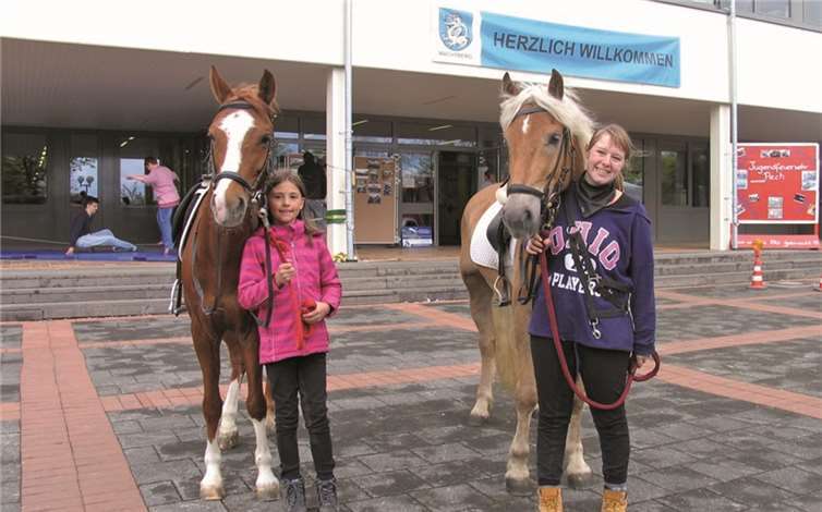 Die Reitschule Hannelore Heiß hatte zwei Ponys mit dabei.