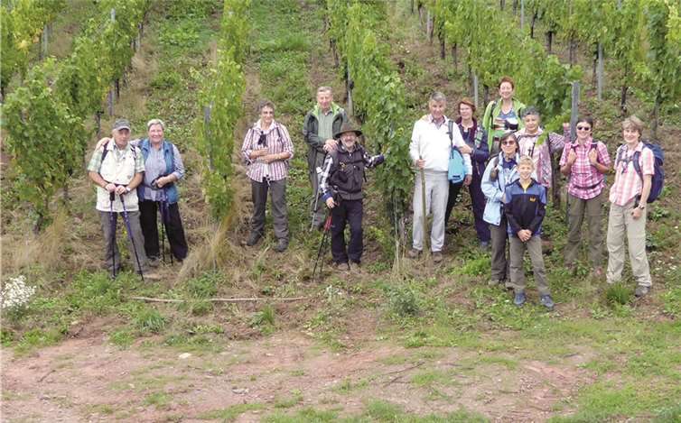 Die Remagener Wanderer in der Neefer Weinbergen.privat