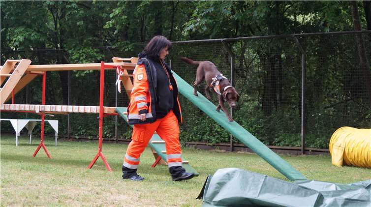 Die Rettungshundestaffel Rhein Mosele.V. begeisterte mit ihrer Vorführung.
