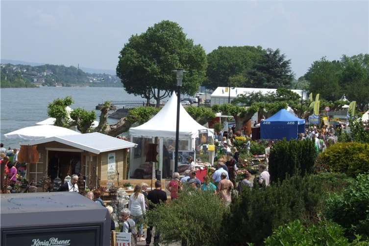 Die Rheinanlagen boten ein wunderbares Ambiente.