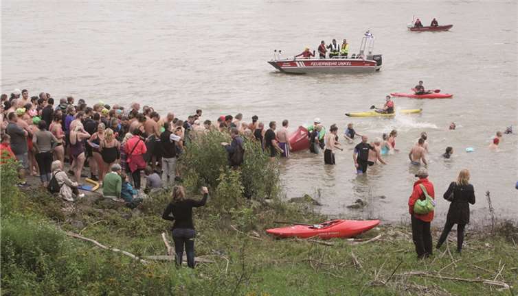 Die Rheinschwimmer der ersten Staffel tauchen in die Fluten.