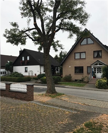 Die Robinie steht in der Grundstückseinfahrt, darum soll sie nun gefällt werden. Privat