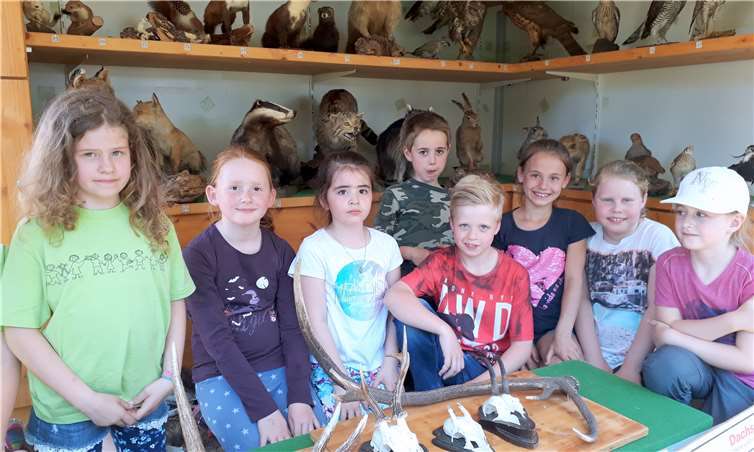 Die „Rollende Waldschule“ der Kreisjagdgruppe wurde viel besucht. Die drei Jägerinnen Monika von Landenberg, Wilma Wagner und Steffi Schmitz erklärten geduldig die verschiedenen Wildtiere, Abwurfstangen und Präparate.