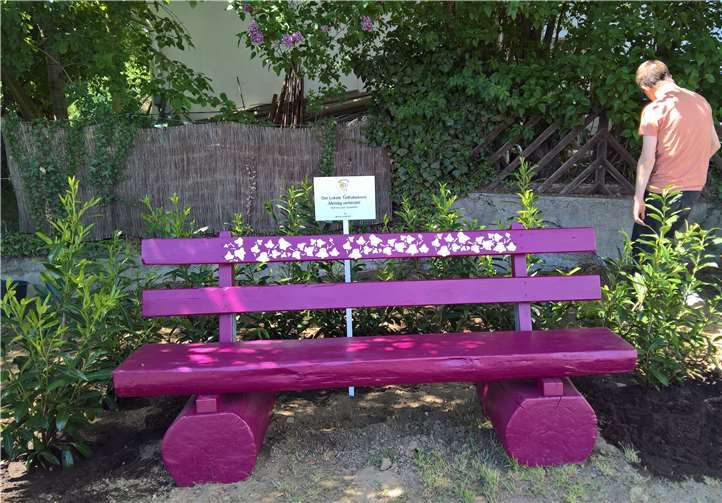 Die Ruhebank vor ihrem Verschwinden. privat