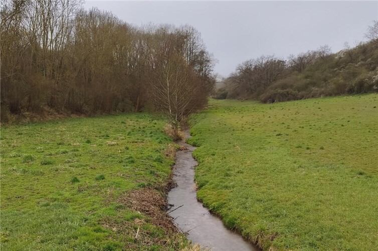 Die SGD Nord führt in ihrer Funktion als Obere Wasserbehörde regelmäßig Gewässerschauen durch. Ende März war der Nothbach an der Reihe.