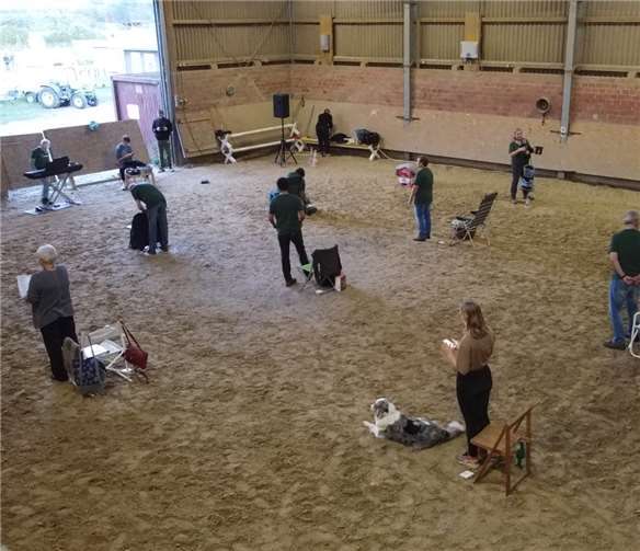 Die Sängerinnen und Sänger proben jetzt im „Rosenhof“.Foto: Privat