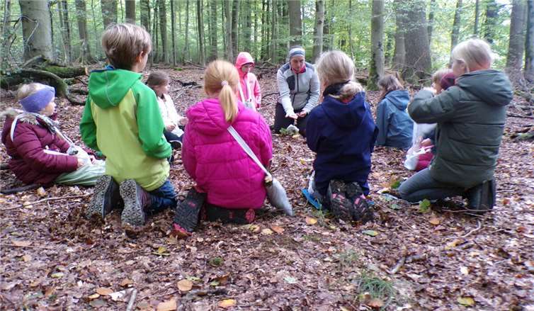 Die Schätze des Herbstes entdecken. Fotos: Jugendpflege der VG Selters