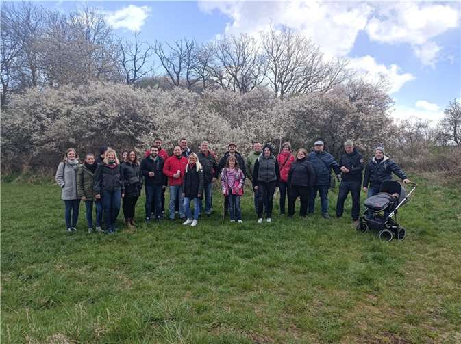 Die Schafsköpfe spazierten einige Kilometer durch Ochtendung.  Foto: privat