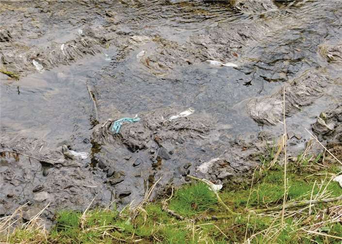 Die Schlammbrühe des Trierbachs gefährdet das Naturschutzgebiet. privat