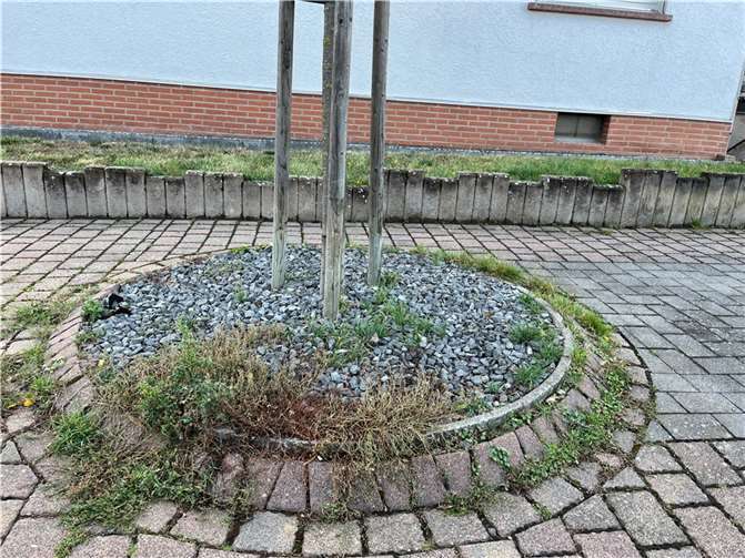 Die Schotterbeete der Gemeinde Bell sollen bepflanzt und insektenfreundlich werden.  Foto: privat