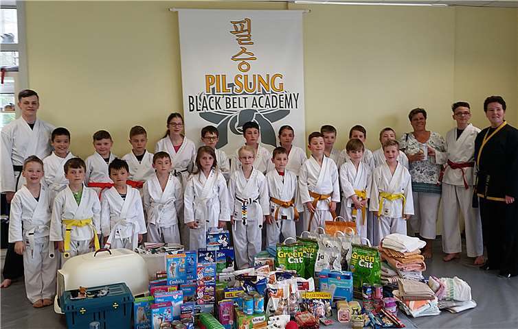 Die Schüler der Pil Sung Balck Academy sammelten Geld, Katzenfutter, Streu und vieles mehr und überreichten es stolz an die Katzenschutzfreunde Rhein-Ahr-Eifel. privat