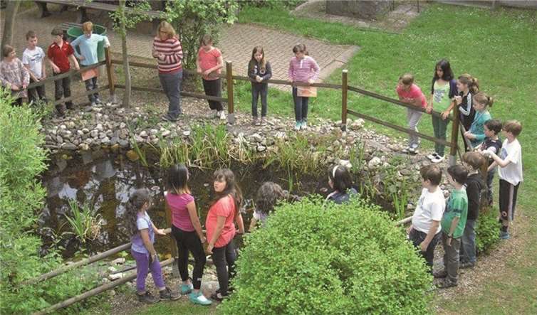 Die Schüler der dritten Klasse lernen Tiere und Pflanzen des Teiches kennen.privat