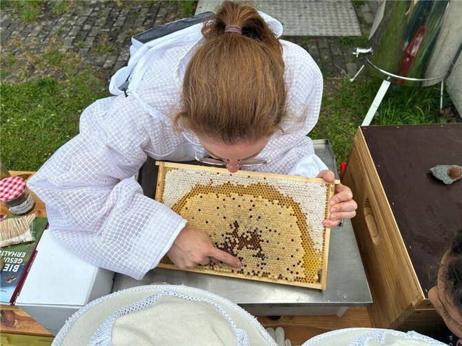 Die Schüler hatten die Gelegenheit den Bienen ganz nah zu kommen.