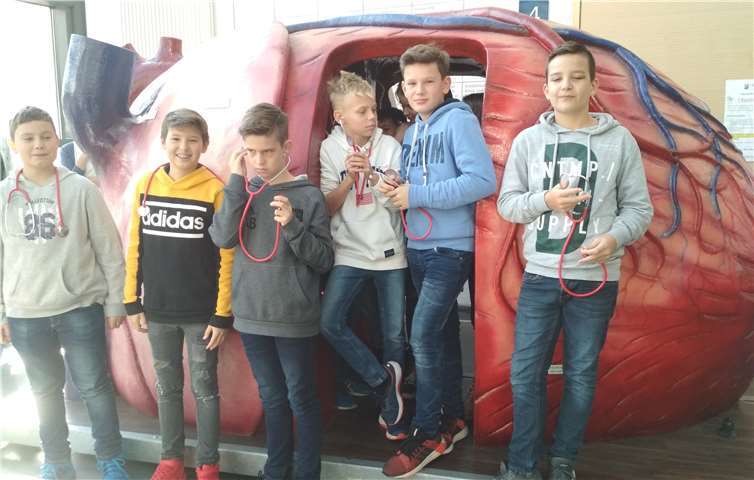 Die Schüler lernten alles wichtige rund ums Herz beim Ausflug kennen. Foto: privat