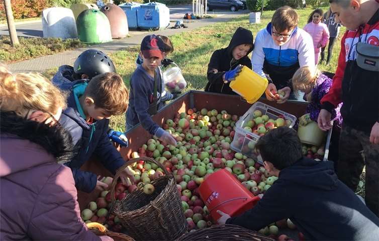 Die Schüler und Schülerinnen aus den Klassen 5a, 5b und 10a fleißig beim Befüllen der Behälter. privat