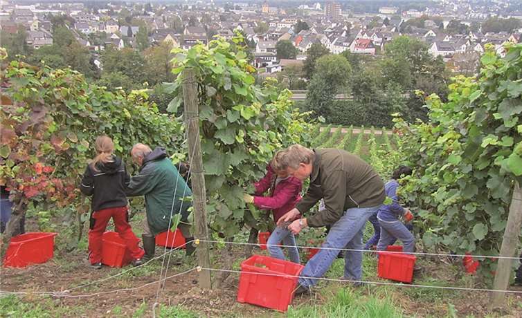 Die Schüler wollten ihren Lehrern in nichts nachstehen.privat