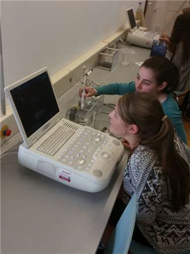 Die Schülerinnen arbeiteten mit einem Ultraschallgerät.  privat