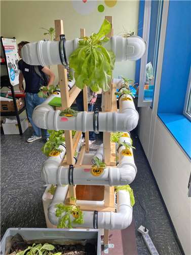 Die Schülerinnen der AG Nachhaltigkeit und der AG Artenschutz präsentierten den Teilnehmern das vielfältige Engagement der Schule – unter anderem auch eine Facharbeit zur alternativen Anbaumethode „Vertical Farming“.