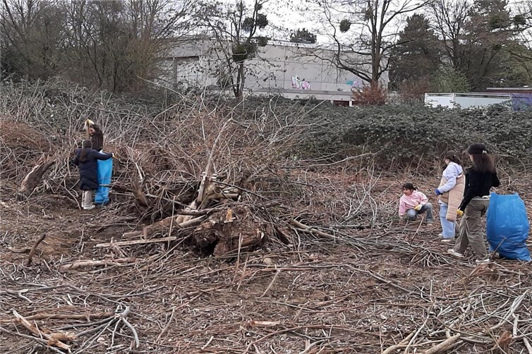 Die Schüler*innen sammeln fleißig Müll – selbst in schwer zugänglichen Bereichen des Bildungsviertels entlang der Ahr.