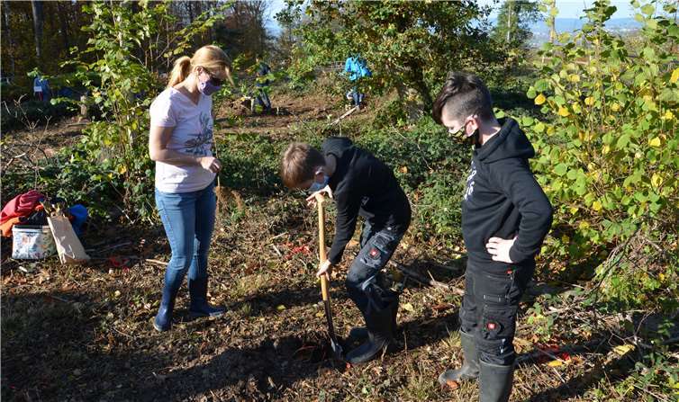 Die Schülerinnen und Schüler pflanzten 850 Bäume.Foto: Simon Höffling/Cusanus Gymnasium