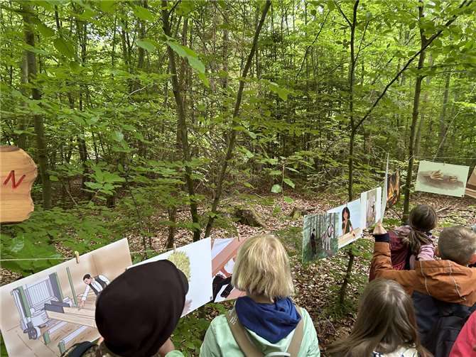 Die Schülerinnen und Schüler sortieren beim „Holzweg“ Bilder vom Baumsamen bis hin zum fertigen Holzprodukt.