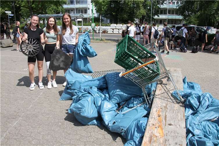 Die Schülerinnen und Schüler verzichteten auf ihren Wandertag und machten ihn zum „Tag der Nachhaltigkeit“.  Foto: Städtisches Gymnasium Rheinbach (SGR)