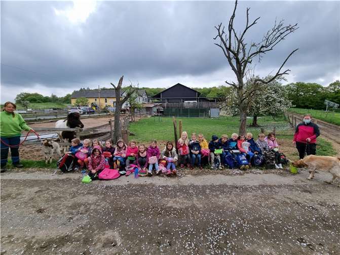 Die Schukis der Kita Steimel auf Hof. Quelle: VG Puderbach