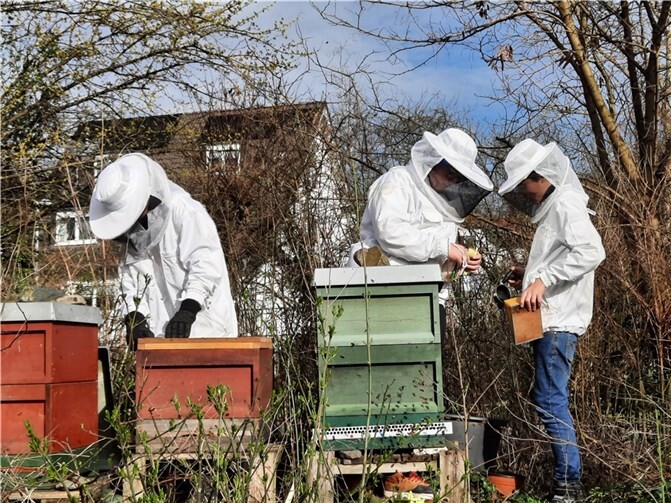 Die Schule bietet eine Vielzahl von Arbeitsgemeinschaften, durch die Schülerinnen und Schüler ihre Interessen und Talente in Bereichen wie der Schulimkerei entdecken und fördern können.  Fotos: Sylvia Gruber