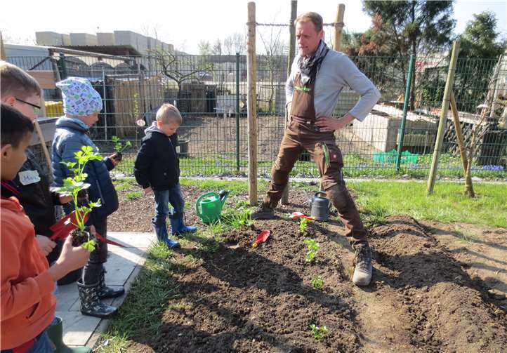 Die Schule nimmt an dem Bildungsprogramm „GemüseAckerdemie“ teil. Fotos: privat
