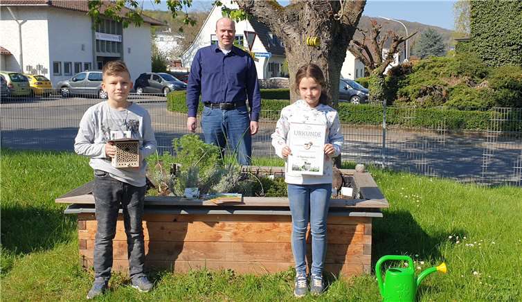 Die Schulkinder erhielten ein sogenanntes „BeeHome Observer“ mit Blumensamen. Die passende Startpopulation an Wandbienen wurden bestellt. Foto: privat