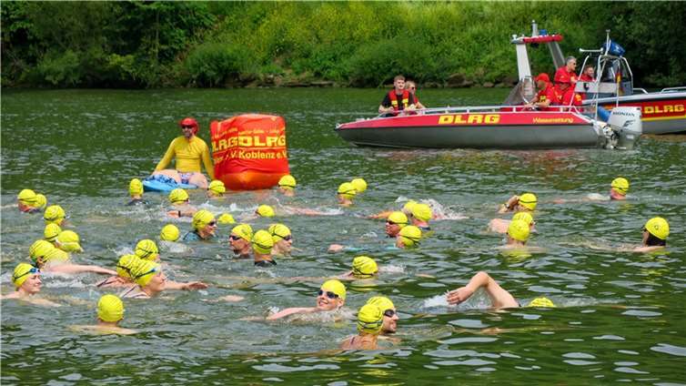 Die Schwimmerinnen und Schwimmer im Wasser.
