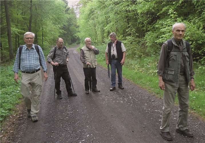 Die Senioren auf dem Weg kurz vor dem ehemaligen Ort Rockenfeld. privat