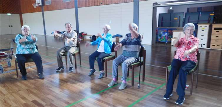 Die Senioren während der Bewegungsstunde.Foto: privat