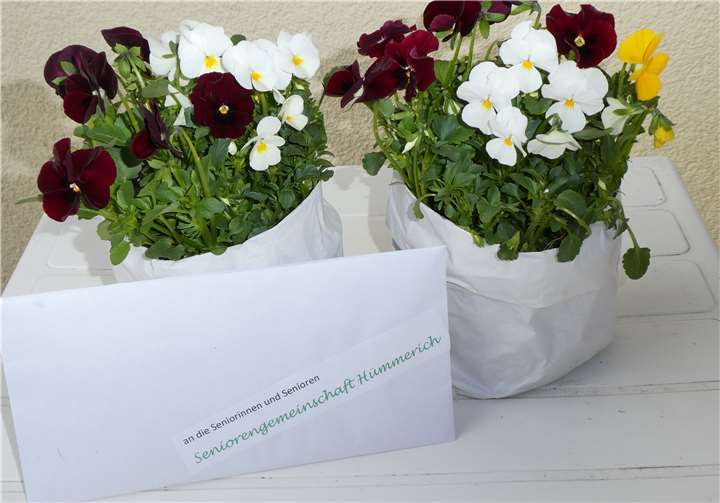Die Seniorengemeinschaft Hümmerich hat an die Seniorinnen und Senioren Blumengrüße mit einer Mutmacher-Botschaft verteilt. Foto: privat