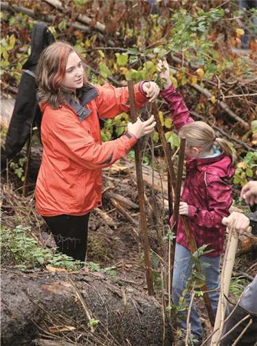 Die Setzlinge wurden sorgfältig mit Pflanzstäben versehen.