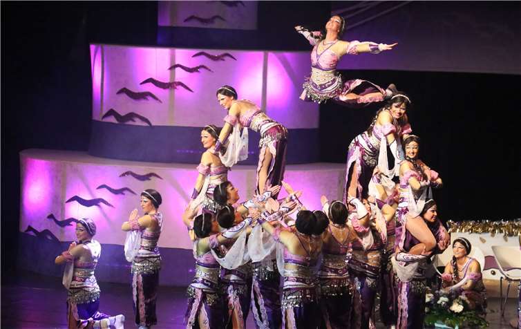 Die Showtanzgruppe Gülser Seemöwen gilt als einer der beste Showtanzgruppen aus Rheinland-Pfalz.