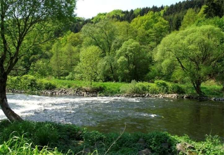 Die Sieg im Rhein-Sieg-Kreis. Foto: Rhein-Sieg-Kreis