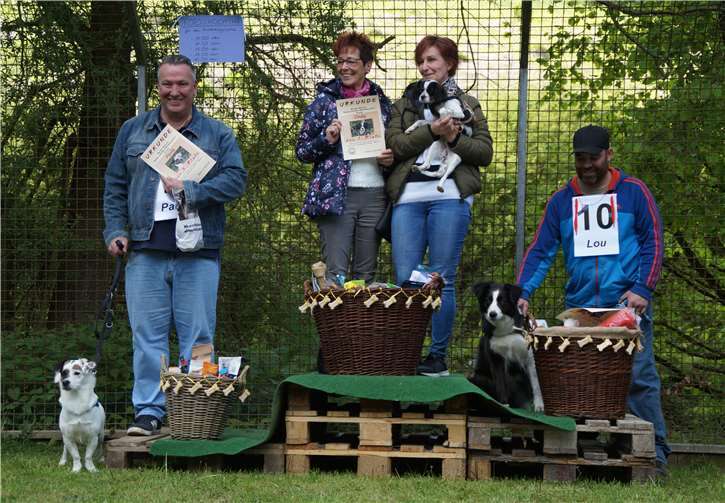 Die Sieger der Wahl zu Miss Mischling: Erste wurde Cindy aus Kottenheim, den zweiten Platz belegte Hündin Lou und der dritte Platz ging an Paula.