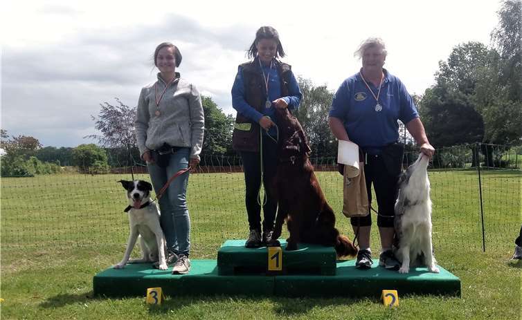 Die Sieger des Hunderennens in der Klasse large. (v.li.) Alexandra Wolff mit Pepe; Maike Adam mit Omid und Christine Bachem mit Hawk.