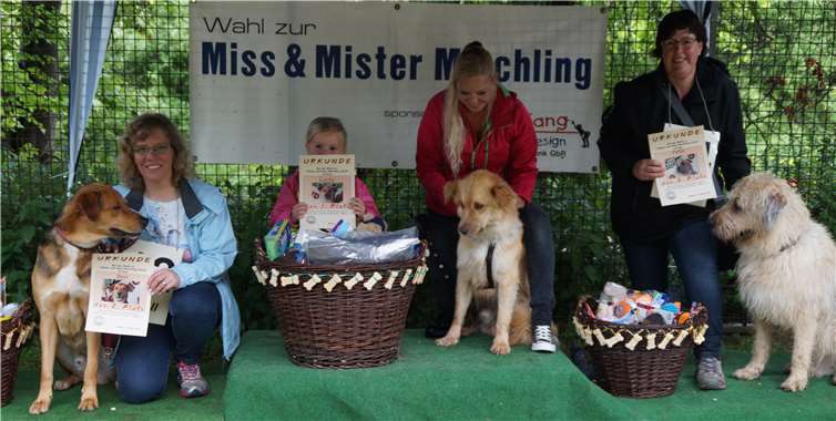 Die Sieger des Wettbewerbs zum Mister Mischling 2018 sind Lucky (Mitte), Ben (li.) und Felix (re.)Fotos: -SOT-