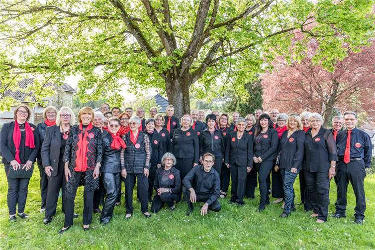 Die Singfreunde stellen sich vor.  Foto: Herbert Pies
