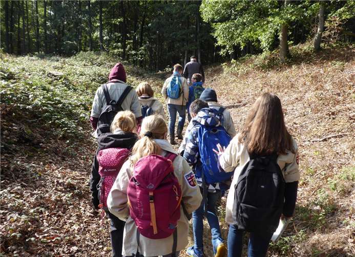 Die Sippen Aguja und Alaskan besuchten am Sonntagnacheinander den Goloring, eine keltische Ringwallanlage.