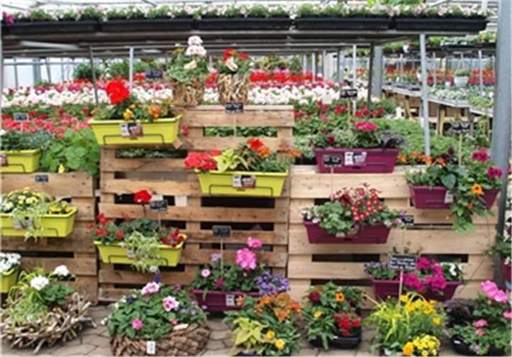 Die „Sommermix“ Blumenkästen für den Balkon: Fertig bestückt in knallbunten Kunststoffkästen und alles gleich zum Mitnehmen. US