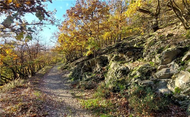 Die Sperrung gilt sowohl für Wanderer, Radfahrer als auch für Reiter.  Foto:privat